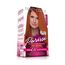 Tintura-Beauty-Color-Sem-Amonia-Purissi-Ruivo-Natural-7.64