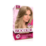 Coloracao-Biocolor-8.1-Louro-Claro-Acinzentado-Fikbella-7930