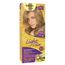 Tintura-Individual--LIGHT-COLOR-8.0-LOURO-CLARO-Fikbella