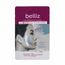 Mascara-Facial-Antioxidante-com-Prata-Belliz---10g-GFikbella