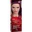 Tintura-Individual-Beauty-Color-66.26-Marsala-Fikbella