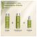 Shampoo-Professional-Essentials-Vegan-Repair-by-Anitta-Cadiveu---250ml
